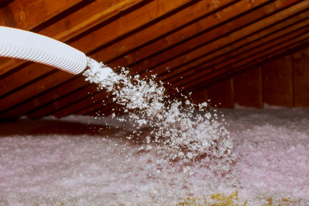 Best Affordable Insulation Services  in Chester, VA