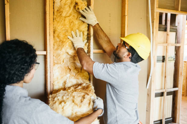 Best Affordable Insulation Services  in Chester, VA