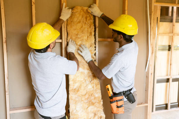 Best Best Insulation Companies  in Chester, VA