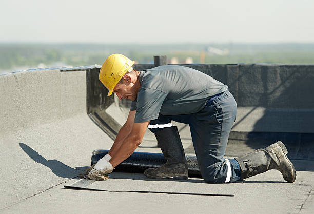 Best Professional Insulation Contractor  in Chester, VA