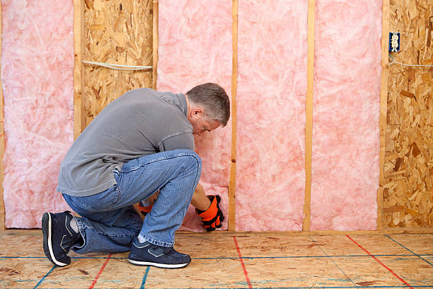 Best Energy-efficient Insulation  in Chester, VA