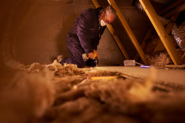 Best Insulation Contractor Near Me  in Chester, VA